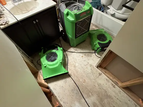 Pro Max Restoration project photo